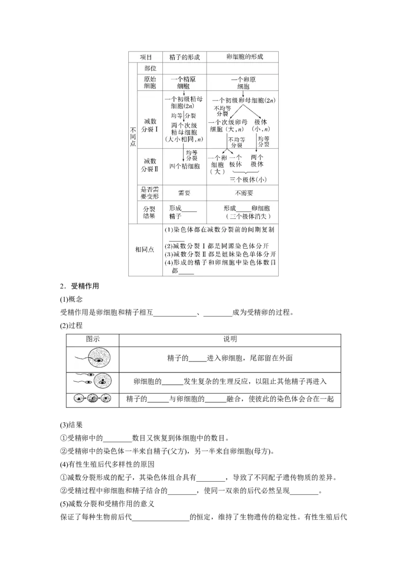 第4单元　第3课时　减数分裂和受精作用_2024年新高考资料_1.2024一轮复习_2024年高考生物一轮复习讲义（新人教版）_学生版在此文件夹_大一轮复习讲义_第四单元　细胞的生命历程