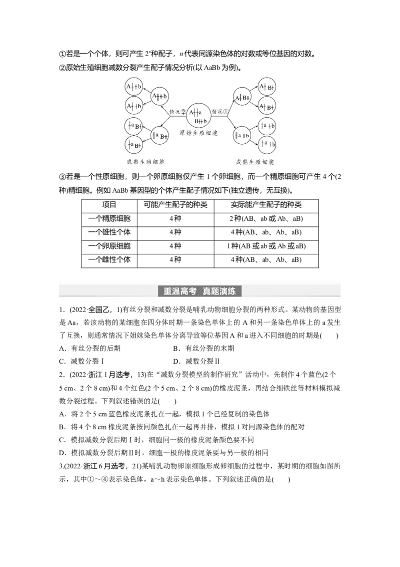 第4单元　第3课时　减数分裂和受精作用_2024年新高考资料_1.2024一轮复习_2024年高考生物一轮复习讲义（新人教版）_学生版在此文件夹_大一轮复习讲义_第四单元　细胞的生命历程