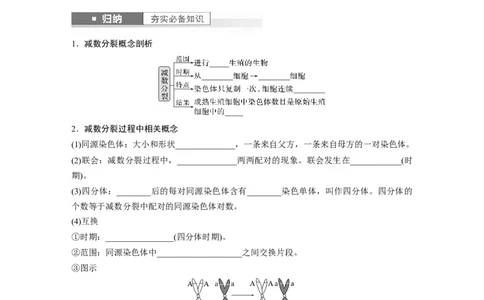 第4单元　第3课时　减数分裂和受精作用_2024年新高考资料_1.2024一轮复习_2024年高考生物一轮复习讲义（新人教版）_学生版在此文件夹_大一轮复习讲义_第四单元　细胞的生命历程