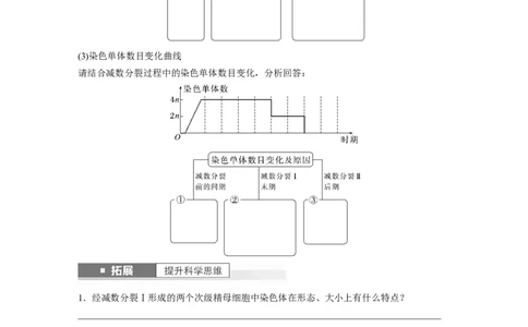 第4单元　第3课时　减数分裂和受精作用_2024年新高考资料_1.2024一轮复习_2024年高考生物一轮复习讲义（新人教版）_学生版在此文件夹_大一轮复习讲义_第四单元　细胞的生命历程