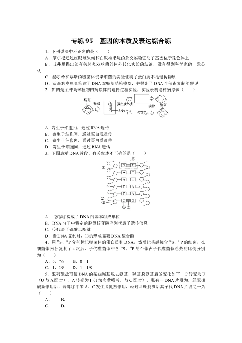 专练95　基因的本质及表达综合练_通用版（老高考）复习资料_2023年复习资料_专项复习_2023《微专题&middot;小练习》&middot;生物