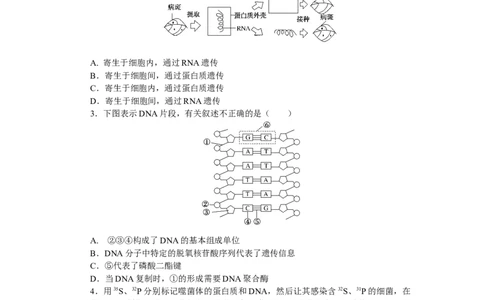 专练95　基因的本质及表达综合练_通用版（老高考）复习资料_2023年复习资料_专项复习_2023《微专题&middot;小练习》&middot;生物