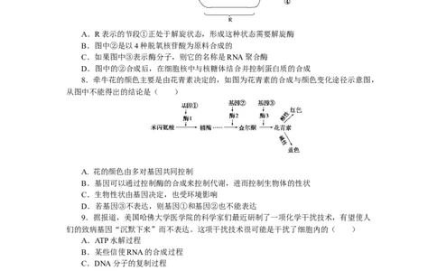 专练95　基因的本质及表达综合练_通用版（老高考）复习资料_2023年复习资料_专项复习_2023《微专题&middot;小练习》&middot;生物