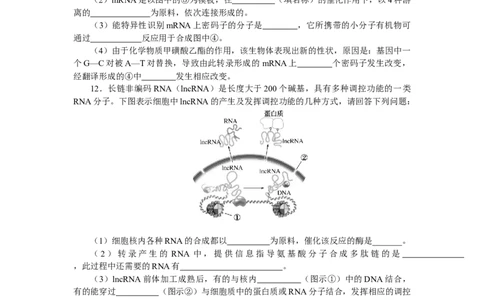 专练95　基因的本质及表达综合练_通用版（老高考）复习资料_2023年复习资料_专项复习_2023《微专题&middot;小练习》&middot;生物