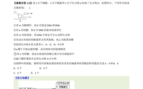 专题01基础知识型选择题（原卷版）_2025年新高考资料_二轮复习_2025年高考生物二轮热点题型归纳与变式演练（新高考通用）3404350