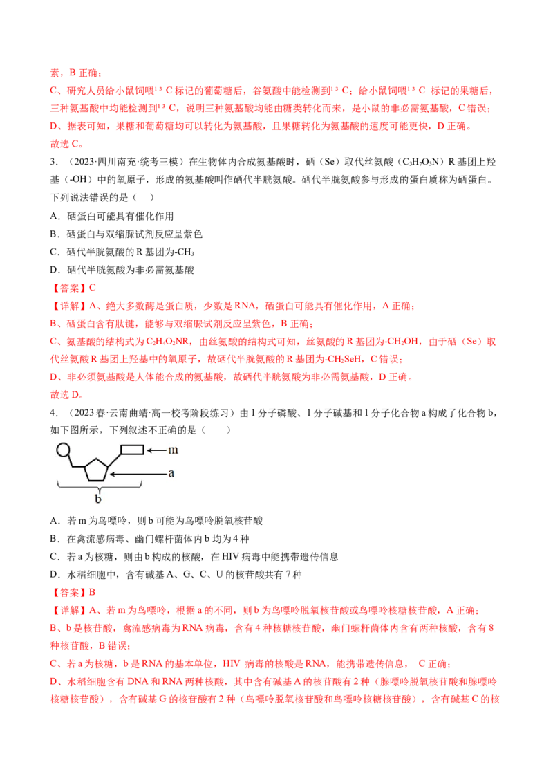 第4讲细胞中的蛋白质和核酸（练习）（解析版）_2024年新高考资料_1.2024一轮复习_2024年高考生物一轮复习讲练测（新教材新高考）
