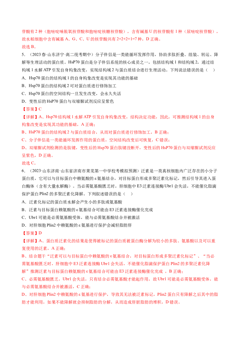 第4讲细胞中的蛋白质和核酸（练习）（解析版）_2024年新高考资料_1.2024一轮复习_2024年高考生物一轮复习讲练测（新教材新高考）