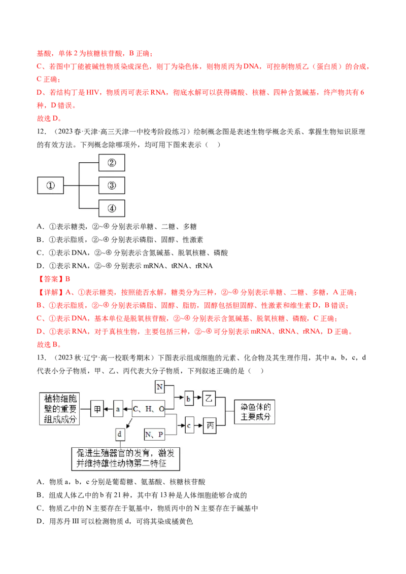 第4讲细胞中的蛋白质和核酸（练习）（解析版）_2024年新高考资料_1.2024一轮复习_2024年高考生物一轮复习讲练测（新教材新高考）