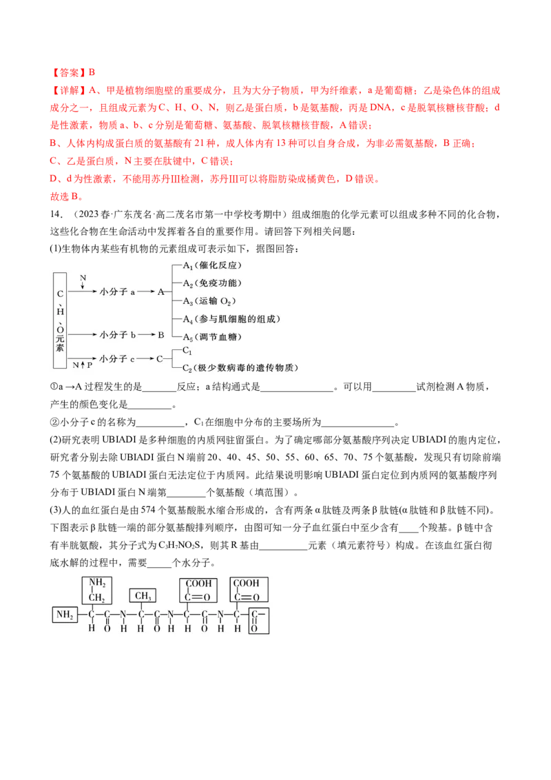 第4讲细胞中的蛋白质和核酸（练习）（解析版）_2024年新高考资料_1.2024一轮复习_2024年高考生物一轮复习讲练测（新教材新高考）