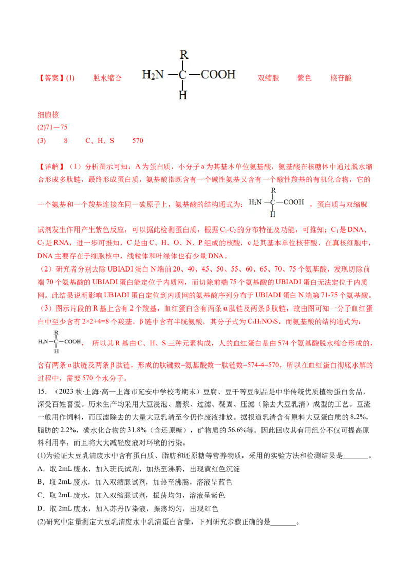 第4讲细胞中的蛋白质和核酸（练习）（解析版）_2024年新高考资料_1.2024一轮复习_2024年高考生物一轮复习讲练测（新教材新高考）
