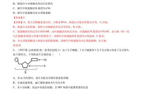 第4讲细胞中的蛋白质和核酸（练习）（解析版）_2024年新高考资料_1.2024一轮复习_2024年高考生物一轮复习讲练测（新教材新高考）