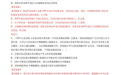 第4讲细胞中的蛋白质和核酸（练习）（解析版）_2024年新高考资料_1.2024一轮复习_2024年高考生物一轮复习讲练测（新教材新高考）