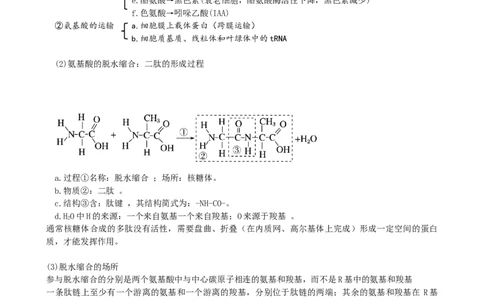 第4讲细胞中的蛋白质和核酸（讲义）（学生版）_2024年新高考资料_1.2024一轮复习_2024年高考生物一轮复习讲练测（新教材新高考）