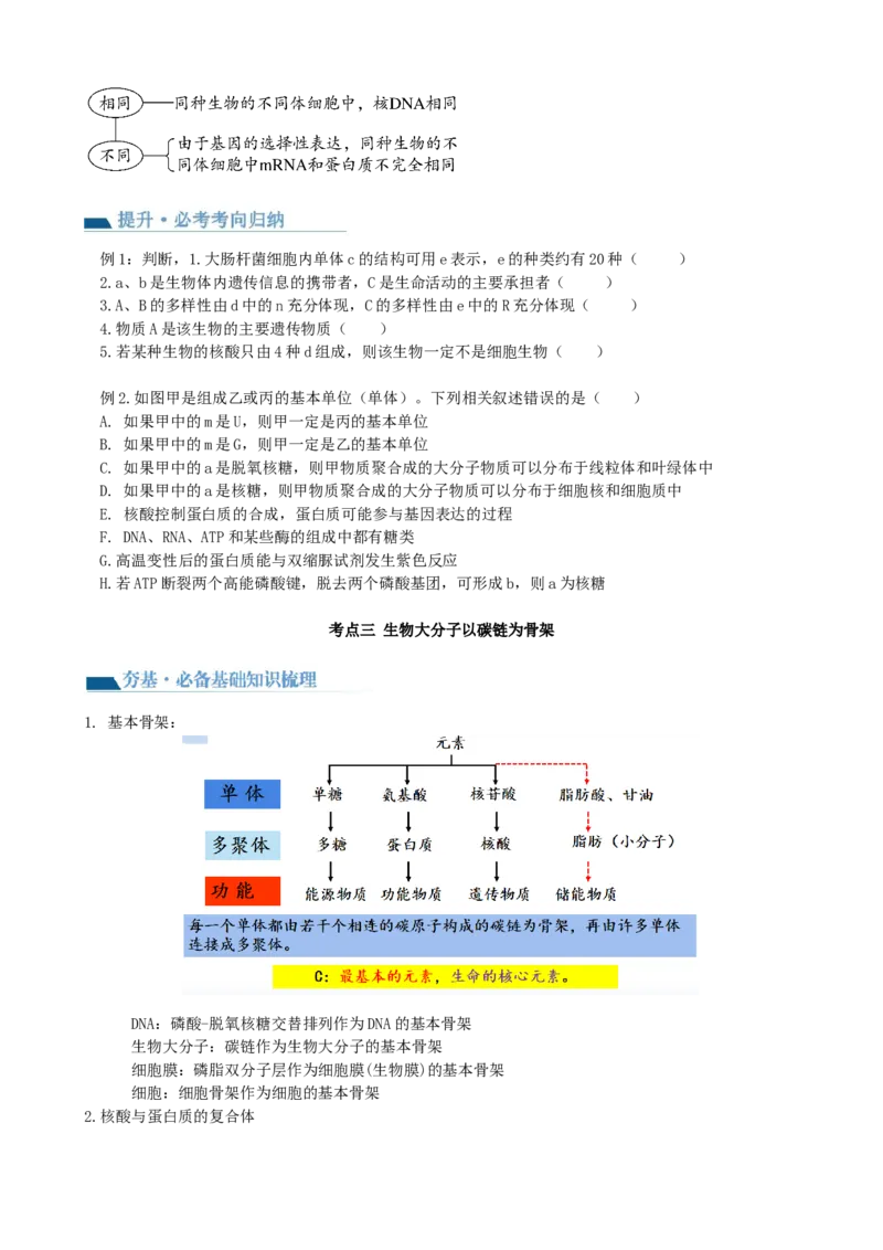 第4讲细胞中的蛋白质和核酸（讲义）（学生版）_2024年新高考资料_1.2024一轮复习_2024年高考生物一轮复习讲练测（新教材新高考）