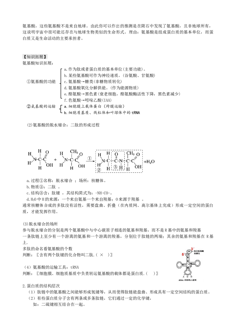 第4讲细胞中的蛋白质和核酸（讲义）（学生版）_2024年新高考资料_1.2024一轮复习_2024年高考生物一轮复习讲练测（新教材新高考）