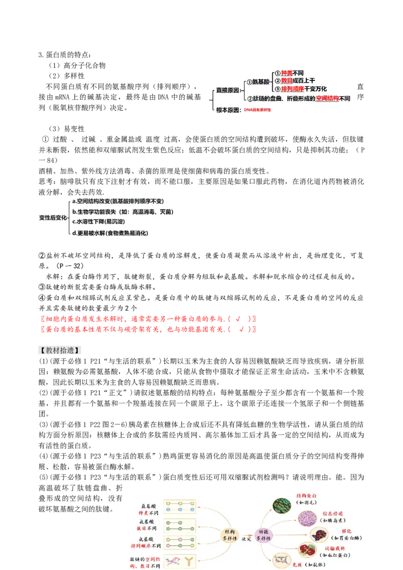 第4讲细胞中的蛋白质和核酸（讲义）（学生版）_2024年新高考资料_1.2024一轮复习_2024年高考生物一轮复习讲练测（新教材新高考）