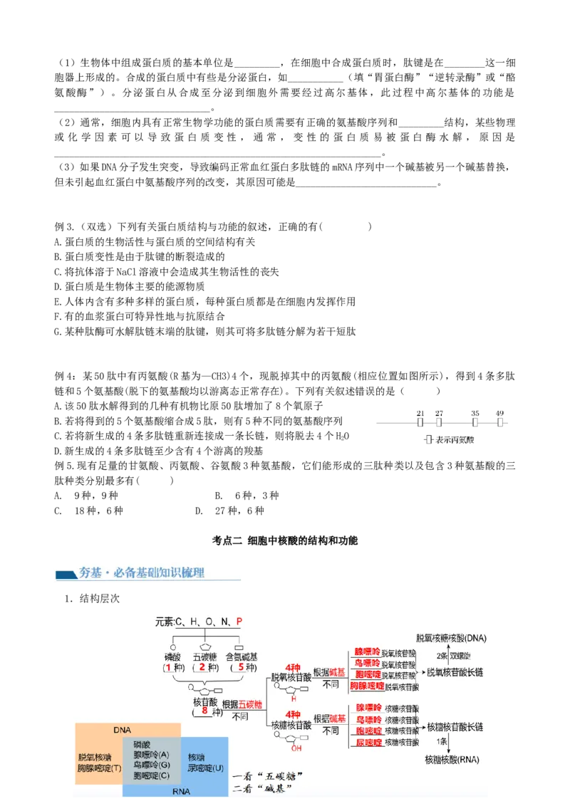 第4讲细胞中的蛋白质和核酸（讲义）（学生版）_2024年新高考资料_1.2024一轮复习_2024年高考生物一轮复习讲练测（新教材新高考）