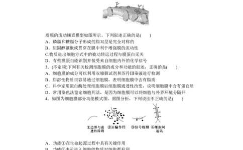 专练9　细胞膜的结构和功能_新高考复习资料_2023年新高考复习资料_专项复习_2023《微专题&middot;小练习》&middot;生物&middot;新教材&middot;XL-7