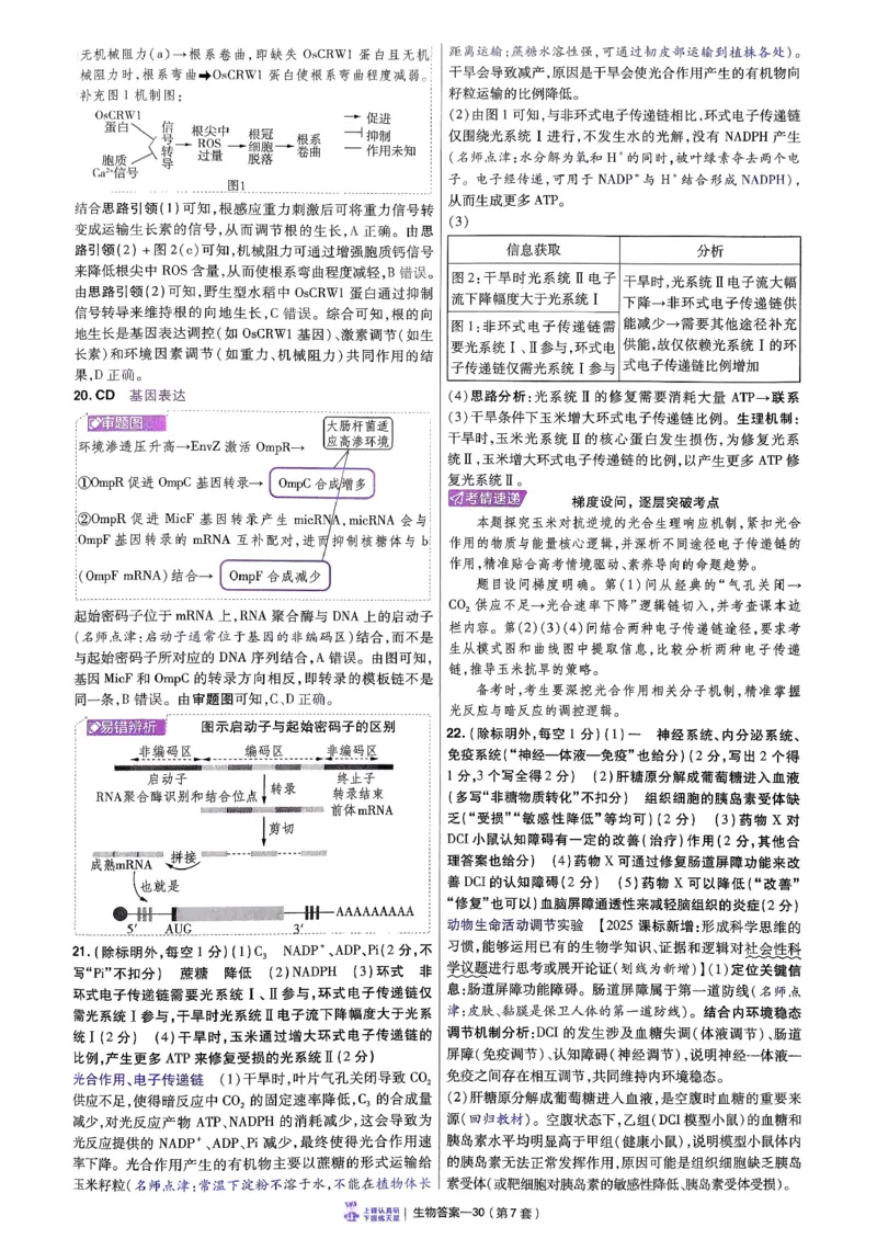 2026生物金考卷特快专递第6期《一模精选卷》答案册_第六期物化生_2026生物金考卷特快专递第6期《一模精选卷》