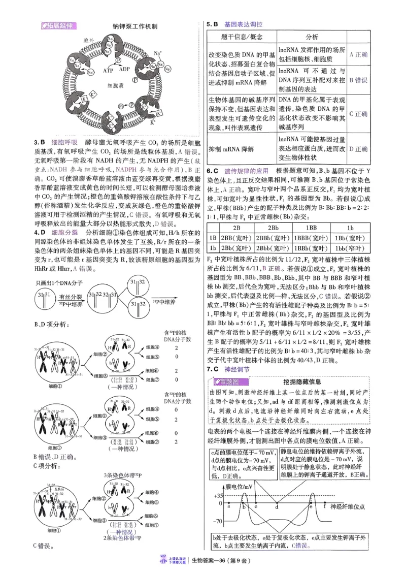 2026生物金考卷特快专递第6期《一模精选卷》答案册_第六期物化生_2026生物金考卷特快专递第6期《一模精选卷》