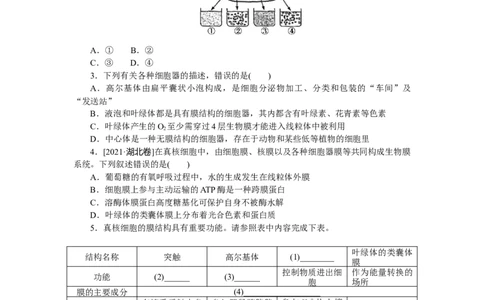专练9　细胞器和细胞的生物膜系统_通用版（老高考）复习资料_2023年复习资料_专项复习_2023《微专题&middot;小练习》&middot;生物