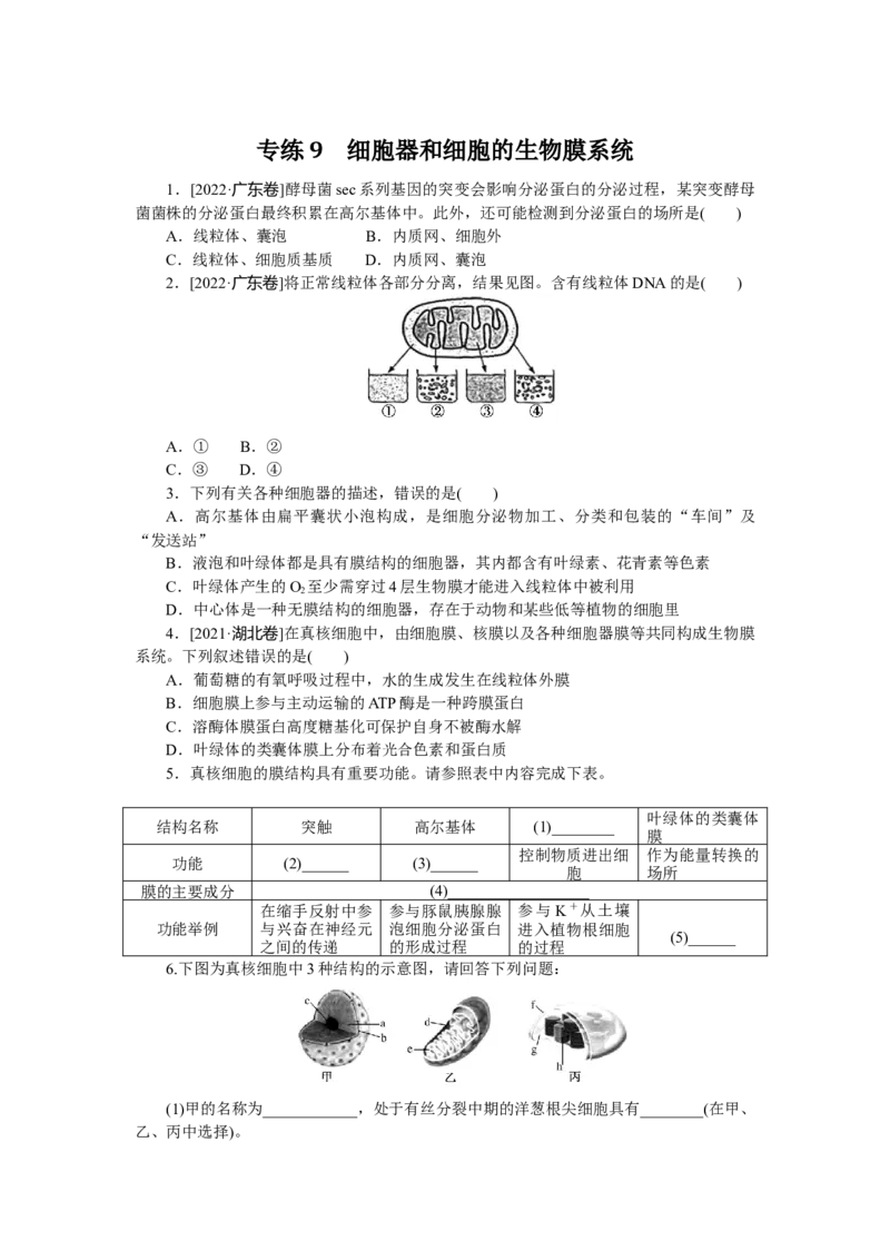 专练9　细胞器和细胞的生物膜系统_通用版（老高考）复习资料_2023年复习资料_专项复习_2023《微专题&middot;小练习》&middot;生物