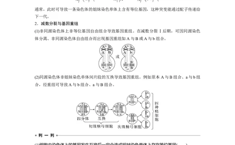 第4单元　微专题三　减数分裂与可遗传变异的关系_2024年新高考资料_1.2024一轮复习_2024年高考生物一轮复习讲义（新人教版）_学生版在此文件夹_大一轮复习讲义