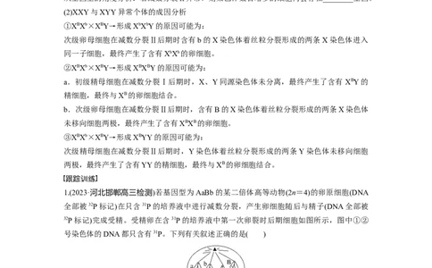 第4单元　微专题三　减数分裂与可遗传变异的关系_2024年新高考资料_1.2024一轮复习_2024年高考生物一轮复习讲义（新人教版）_学生版在此文件夹_大一轮复习讲义
