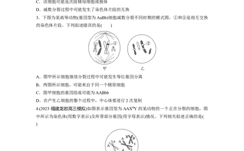 第4单元　微专题三　减数分裂与可遗传变异的关系_2024年新高考资料_1.2024一轮复习_2024年高考生物一轮复习讲义（新人教版）_学生版在此文件夹_大一轮复习讲义