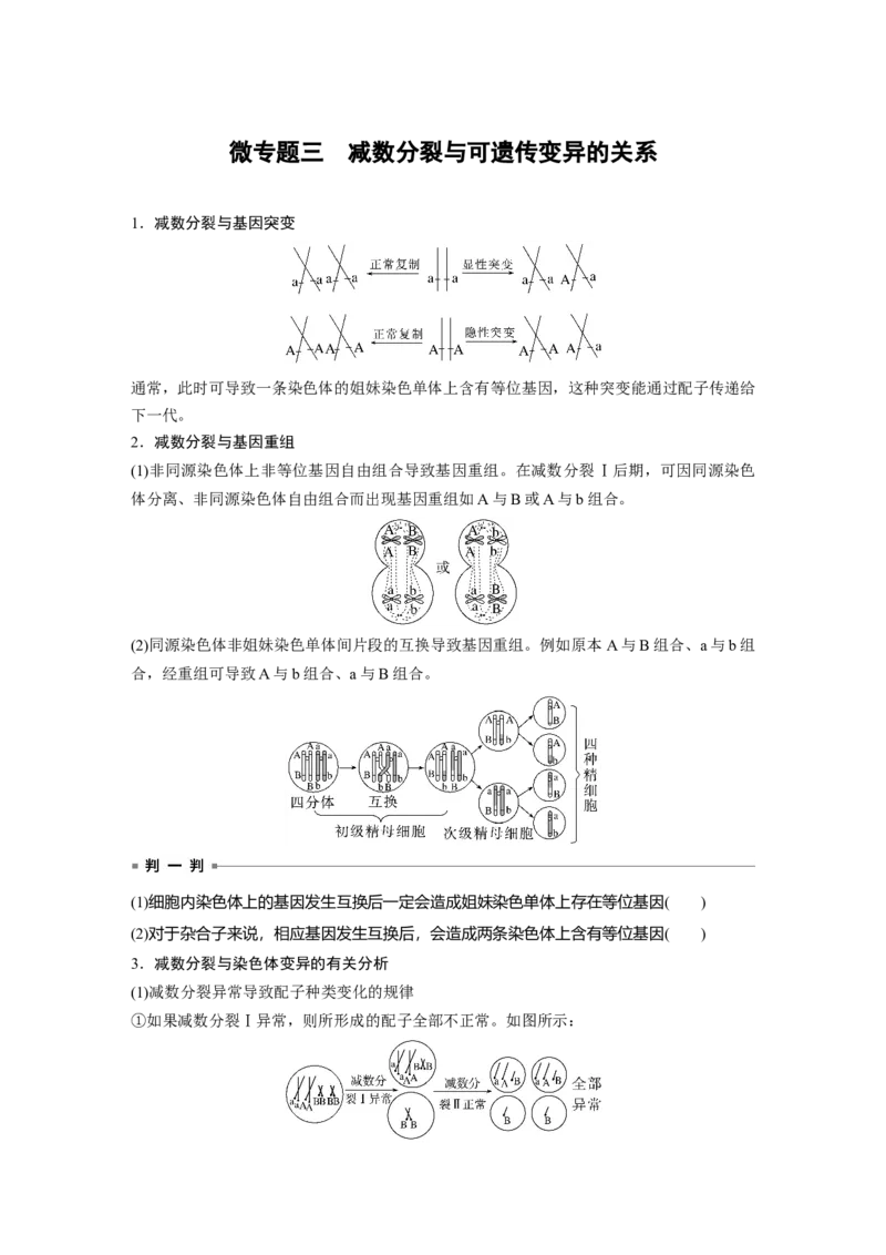 第4单元　微专题三　减数分裂与可遗传变异的关系_2024年新高考资料_1.2024一轮复习_2024年高考生物一轮复习讲义（新人教版）_学生版在此文件夹_大一轮复习讲义