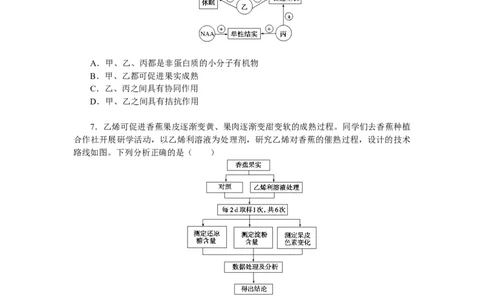 专练98　植物的激素调节综合练_通用版（老高考）复习资料_2023年复习资料_专项复习_2023《微专题&middot;小练习》&middot;生物