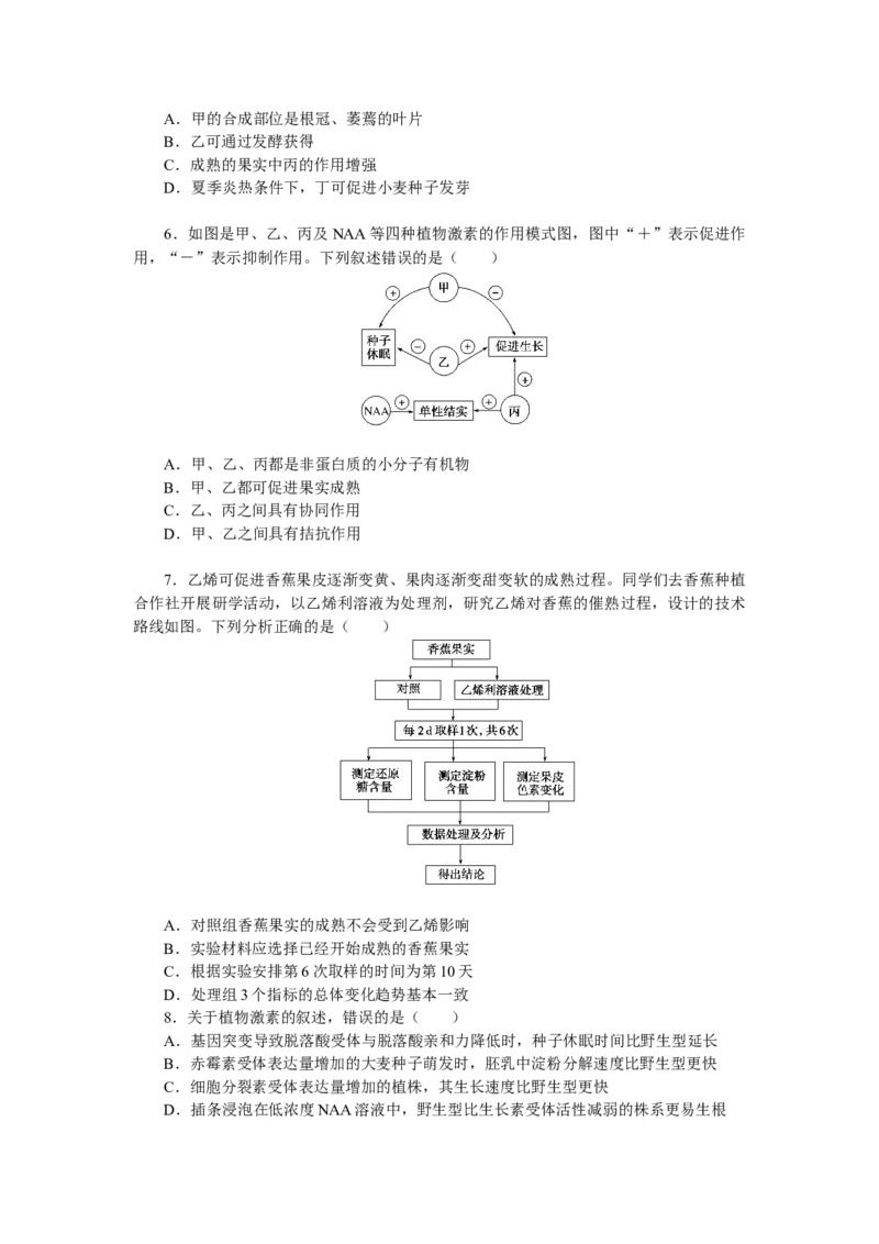 专练98　植物的激素调节综合练_通用版（老高考）复习资料_2023年复习资料_专项复习_2023《微专题&middot;小练习》&middot;生物