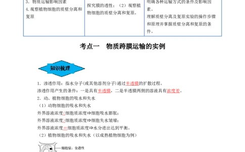 专题06细胞的物质输入和输出（串讲）（解析版）_新高考复习资料_2024年新高考复习资料_一轮复习资料_完备战2024年高考生物一轮复习串讲精练（新高考专用）_串讲_解析版