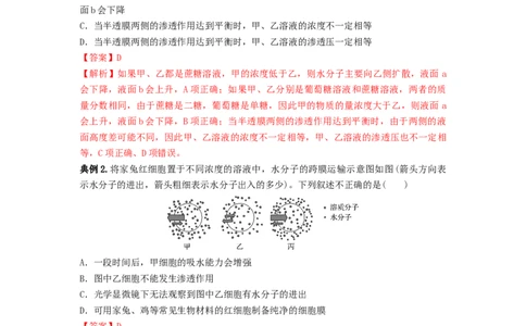 专题06细胞的物质输入和输出（串讲）（解析版）_新高考复习资料_2024年新高考复习资料_一轮复习资料_完备战2024年高考生物一轮复习串讲精练（新高考专用）_串讲_解析版
