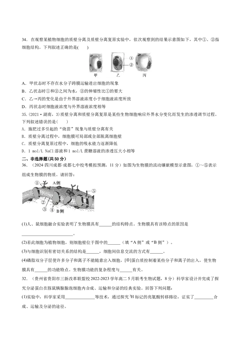 第二单元细胞的结构、功能和物质运输（测试）（原卷版）_2024年新高考资料_1.2024一轮复习_2024年高考生物一轮复习讲练测（新教材新高考）