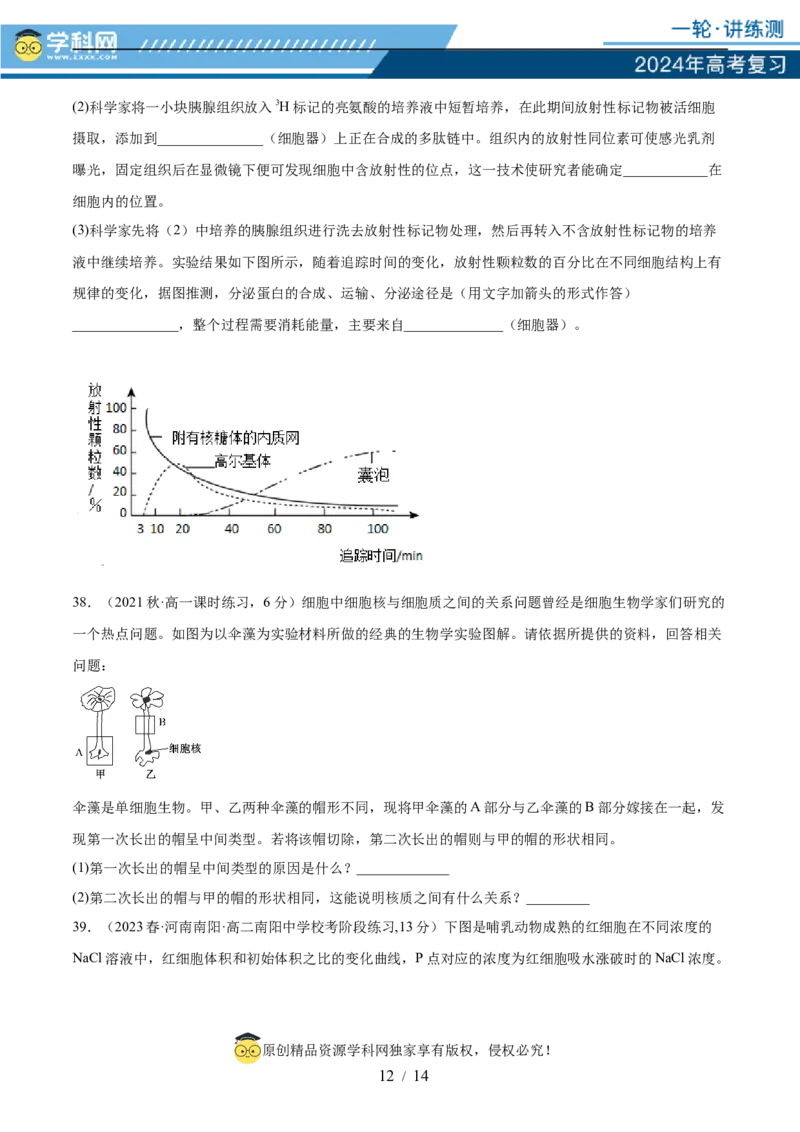 第二单元细胞的结构、功能和物质运输（测试）（原卷版）_2024年新高考资料_1.2024一轮复习_2024年高考生物一轮复习讲练测（新教材新高考）
