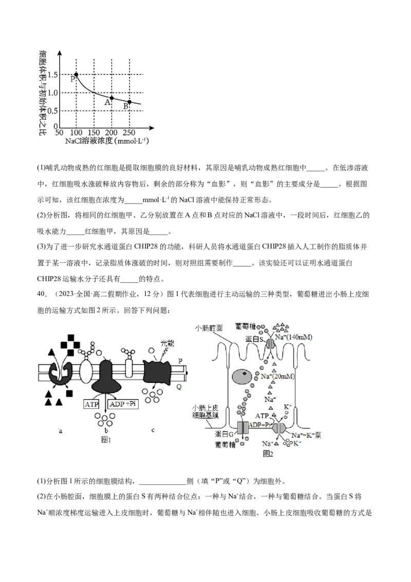 第二单元细胞的结构、功能和物质运输（测试）（原卷版）_2024年新高考资料_1.2024一轮复习_2024年高考生物一轮复习讲练测（新教材新高考）