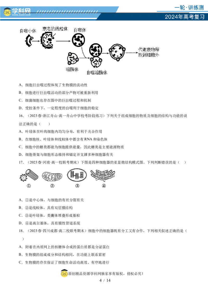 第二单元细胞的结构、功能和物质运输（测试）（原卷版）_2024年新高考资料_1.2024一轮复习_2024年高考生物一轮复习讲练测（新教材新高考）