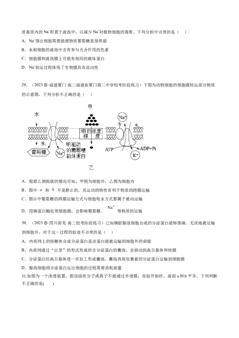 第二单元细胞的结构、功能和物质运输（测试）（原卷版）_2024年新高考资料_1.2024一轮复习_2024年高考生物一轮复习讲练测（新教材新高考）