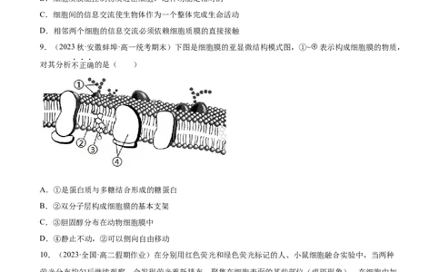 第二单元细胞的结构、功能和物质运输（测试）（原卷版）_2024年新高考资料_1.2024一轮复习_2024年高考生物一轮复习讲练测（新教材新高考）