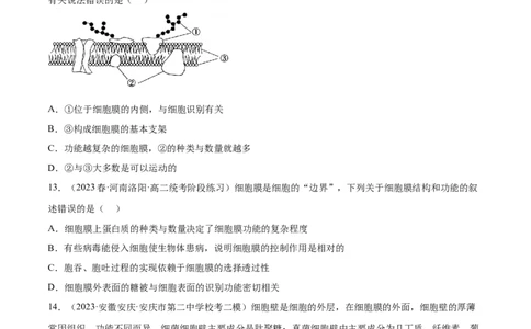 第二单元细胞的结构、功能和物质运输（测试）（原卷版）_2024年新高考资料_1.2024一轮复习_2024年高考生物一轮复习讲练测（新教材新高考）
