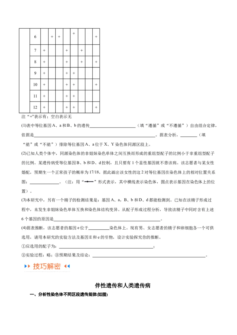 专题04遗传的基本规律和人类遗传病（讲义）（原卷版）_新高考复习资料_2024年新高考复习资料_二轮复习资料_讲义