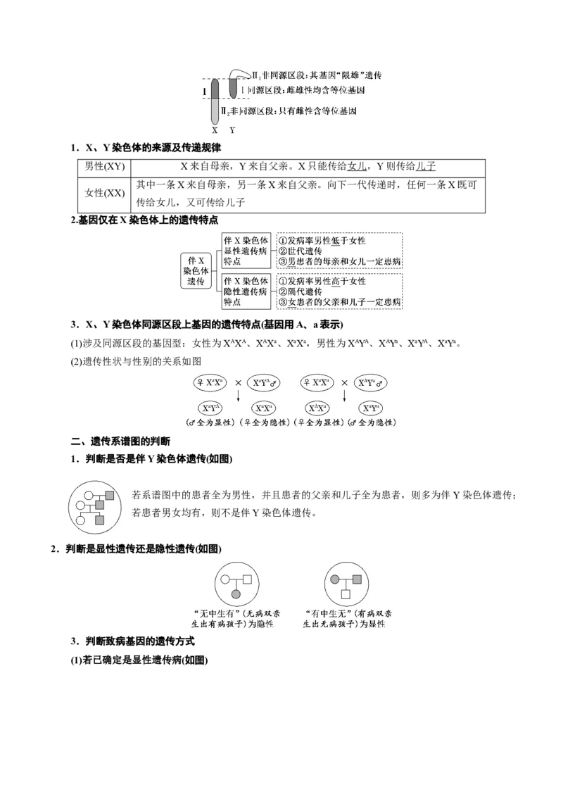 专题04遗传的基本规律和人类遗传病（讲义）（原卷版）_新高考复习资料_2024年新高考复习资料_二轮复习资料_讲义