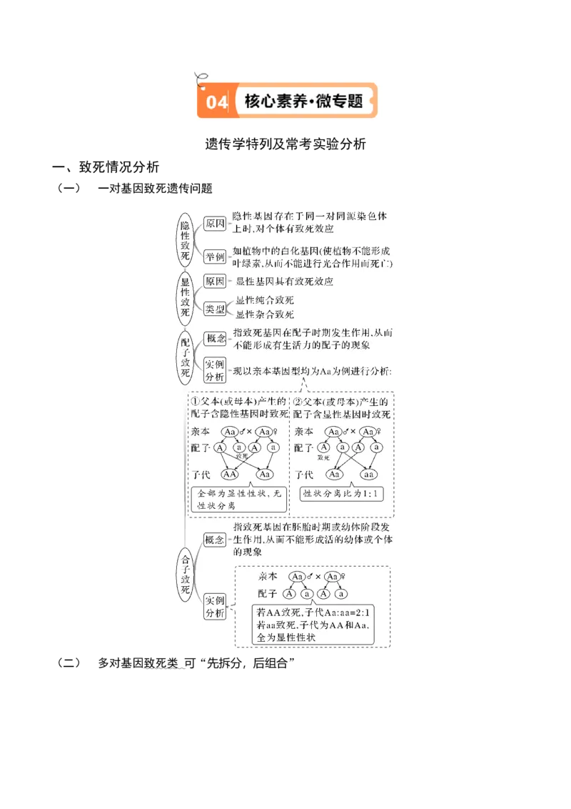 专题04遗传的基本规律和人类遗传病（讲义）（原卷版）_新高考复习资料_2024年新高考复习资料_二轮复习资料_讲义
