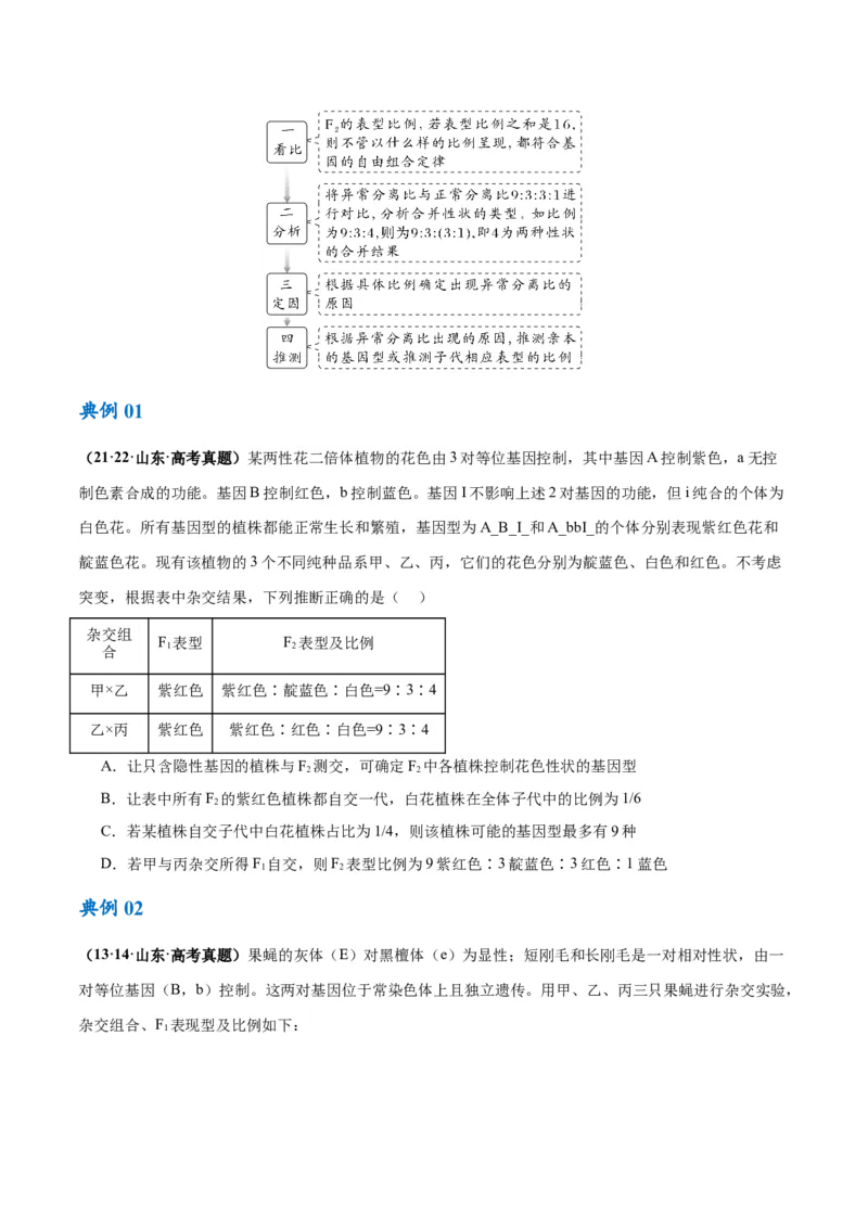 专题04遗传的基本规律和人类遗传病（讲义）（原卷版）_新高考复习资料_2024年新高考复习资料_二轮复习资料_讲义
