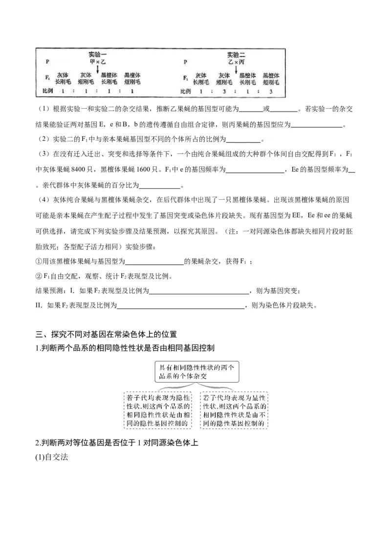 专题04遗传的基本规律和人类遗传病（讲义）（原卷版）_新高考复习资料_2024年新高考复习资料_二轮复习资料_讲义