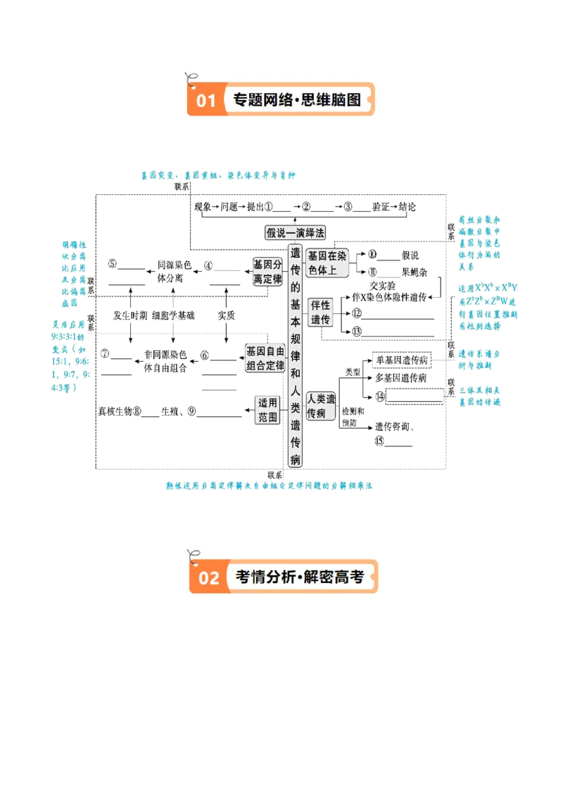 专题04遗传的基本规律和人类遗传病（讲义）（原卷版）_新高考复习资料_2024年新高考复习资料_二轮复习资料_讲义