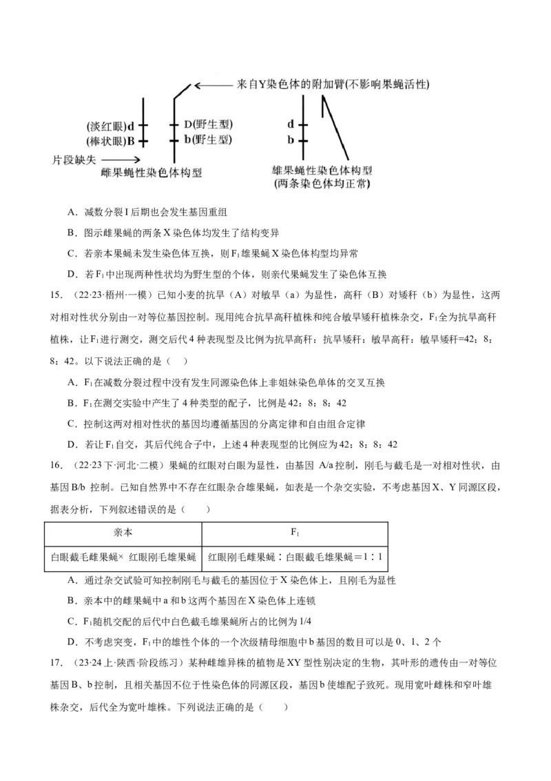 专题04遗传的基本规律和人类遗传病（讲义）（原卷版）_新高考复习资料_2024年新高考复习资料_二轮复习资料_讲义