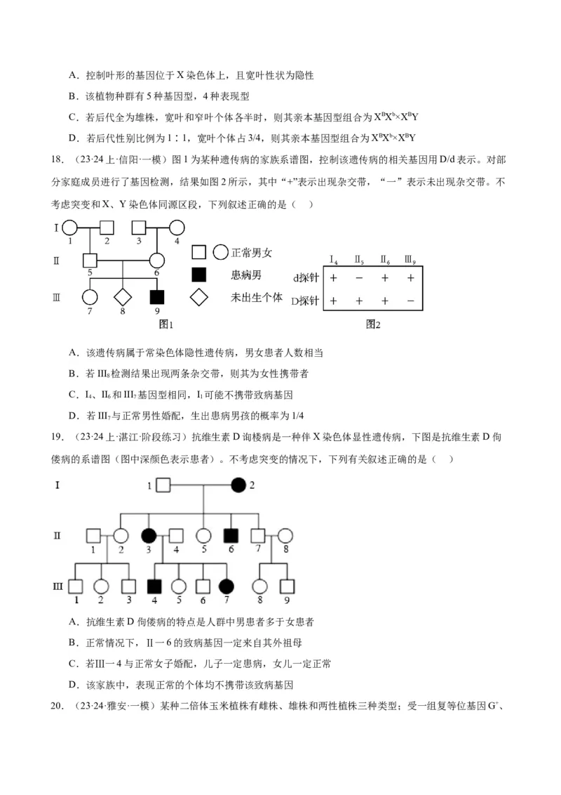 专题04遗传的基本规律和人类遗传病（讲义）（原卷版）_新高考复习资料_2024年新高考复习资料_二轮复习资料_讲义
