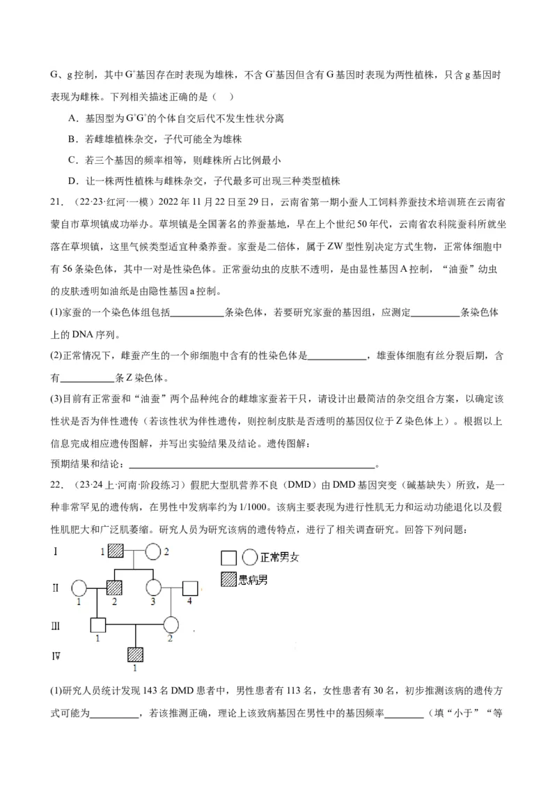 专题04遗传的基本规律和人类遗传病（讲义）（原卷版）_新高考复习资料_2024年新高考复习资料_二轮复习资料_讲义